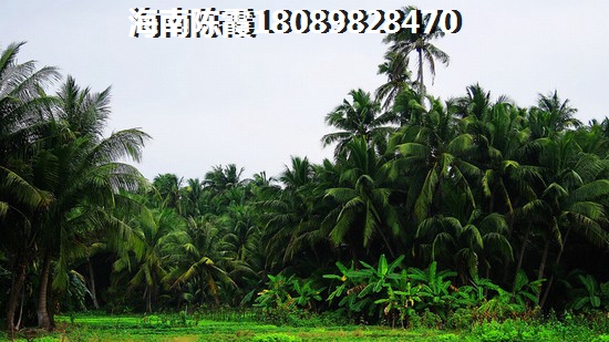 直到万物凋零什么歌