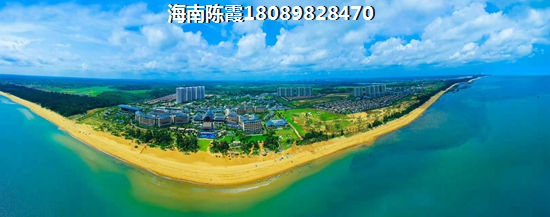 陪诊公司起名大全四字