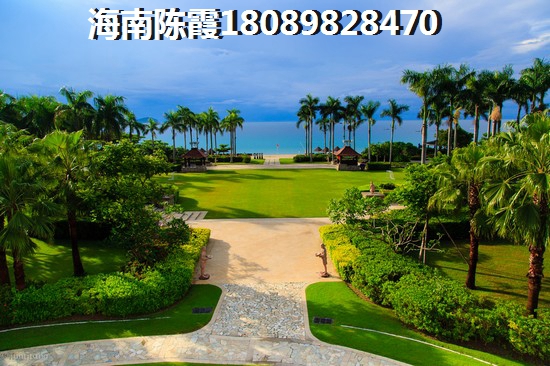威信县实惠小吃大全(威信县特色美食小吃) 威信县实惠小吃大全(威信县特色美食小吃)